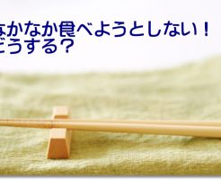 認知症の食事介助　箸と箸置き"