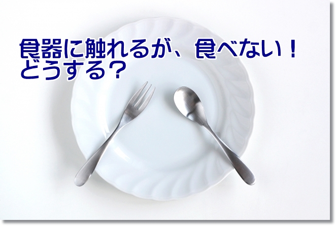 食器やスプーンに触れるが、食べようとしない！どうする？