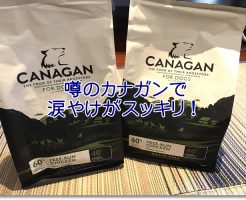 カナガンドッグフード