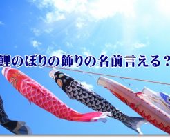 鯉のぼりの吹き流しと矢車のイメージ