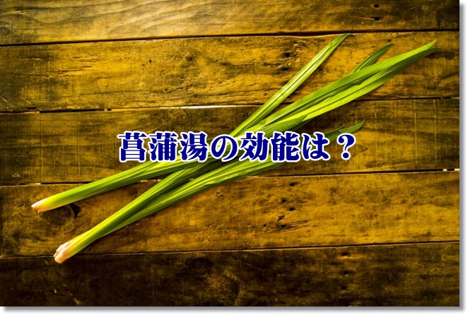 端午の節句に菖蒲湯？由来と効能は？菖蒲の意外な活用方法とは？
