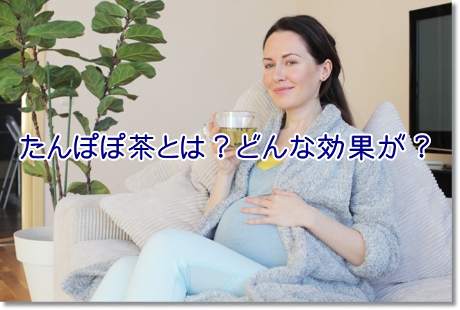 妊婦さんに大人気のたんぽぽ茶とは？どんな効果が？