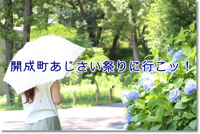 開成町あじさいまつり2019　行く前に開花状況とアクセス、混雑をチェック！