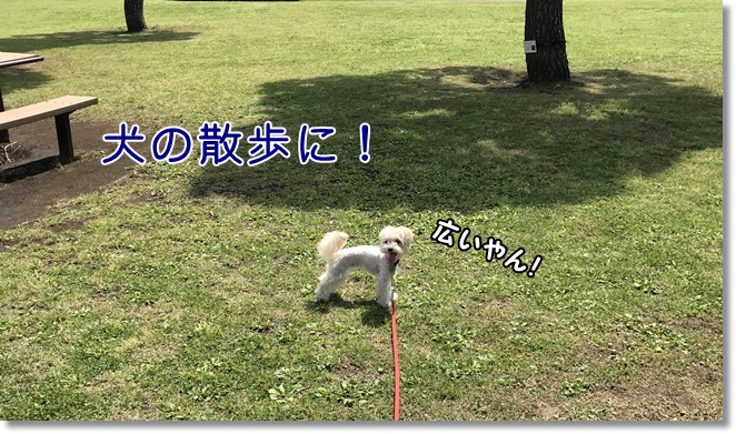 県立相模原公園の見どころは？大人でも楽しめるオススメのスポットは？