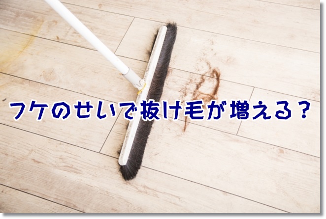 フケのせいで抜け毛が増える？頭皮の湿疹は頭皮からトラブル警告！