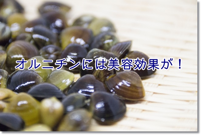 オルニチンには美容効果が！シミやシワの少ない日本一は島根！