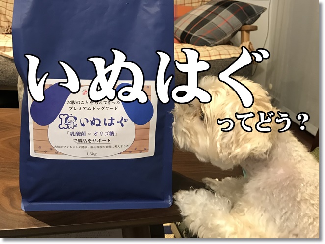 いぬはぐドッグフードってオススメか？試食レビュー