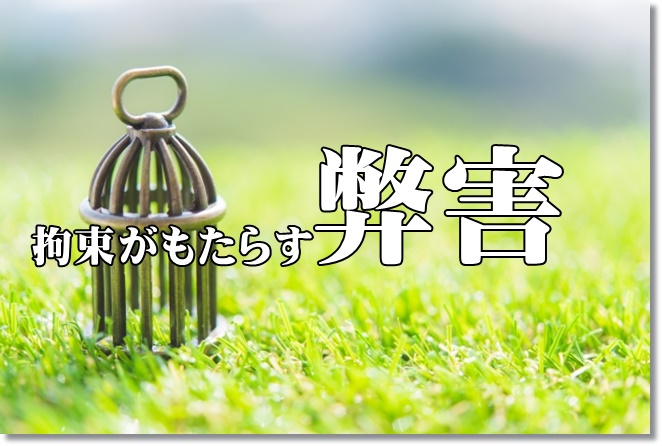 拘束がもたらす弊害とは？甘い認識がつい拘束を！