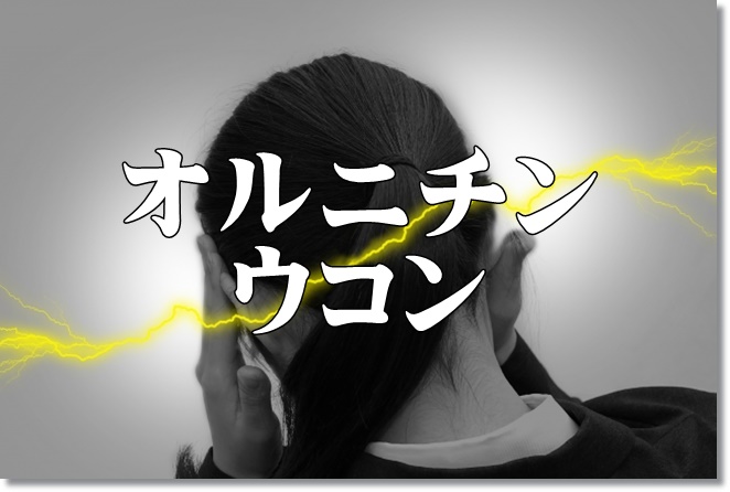 オルニチンとウコンのどちらが二日酔いに効果的？