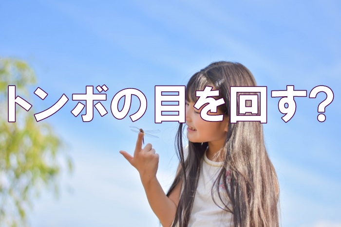 トンボは目を回す？