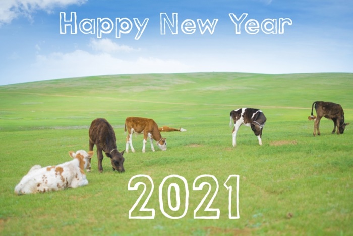 2021年　新年のご挨拶